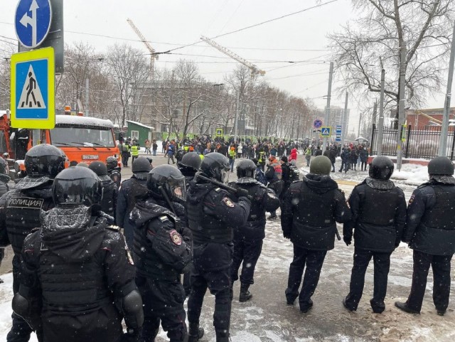 Кто в лес, кто по дрова… Как нас в очередной раз обвели вокруг пальца