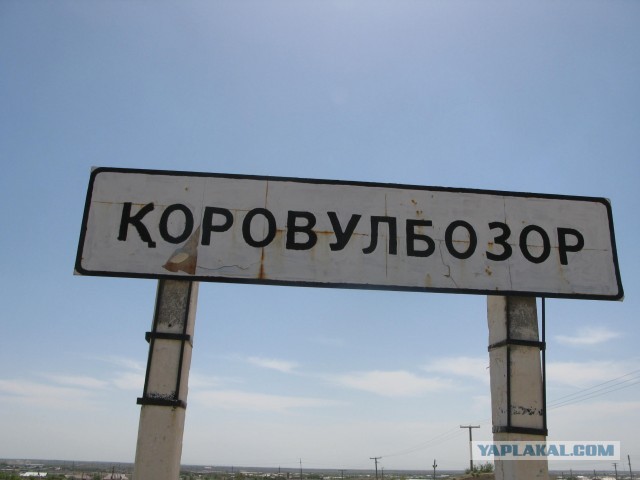 Картинки с надписями и всякие жизненные фразы