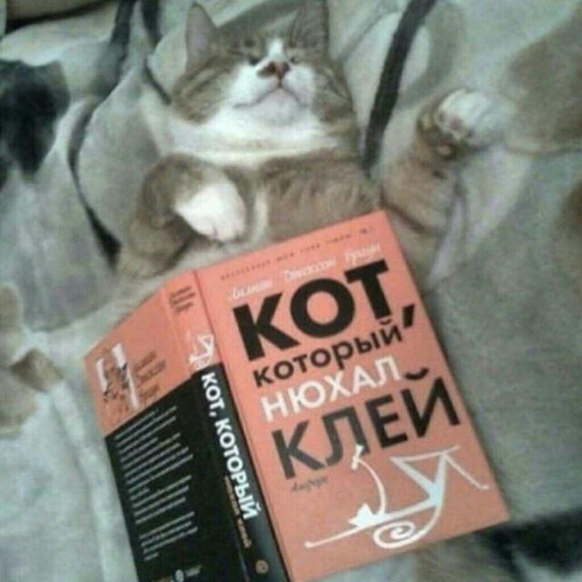 Подборка всякой живности