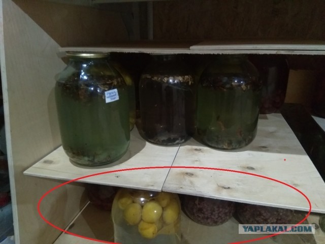 Нищебродам на заметку. Очередная намазка на хлебушек.