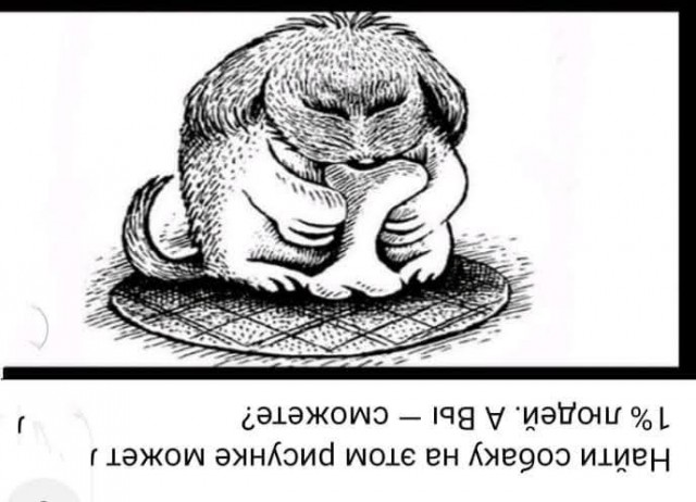 Всяческие картинки 22.06.2021