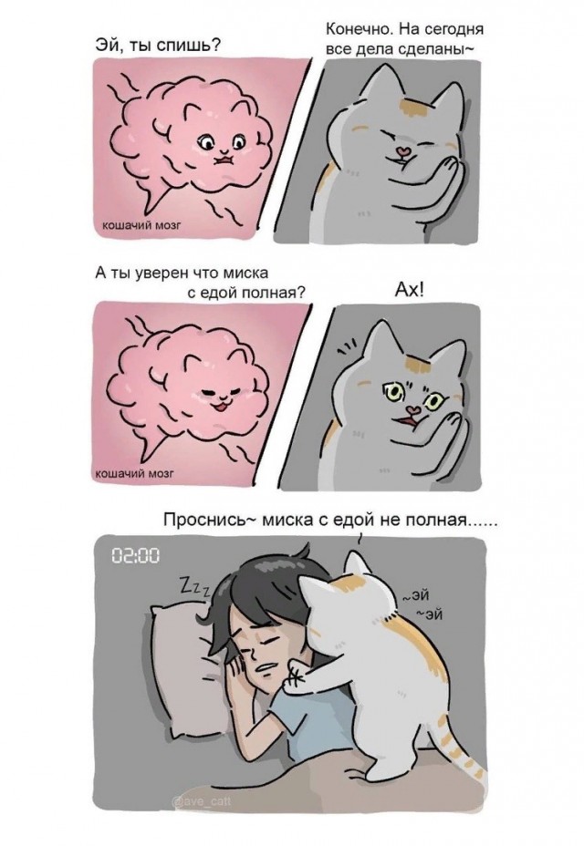 Так себе картинки 12.09.21
