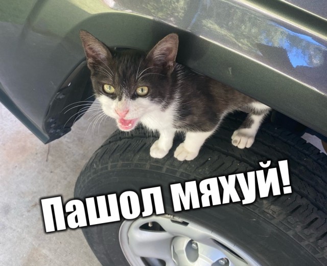 Вот ехать собрался, а здесь это…