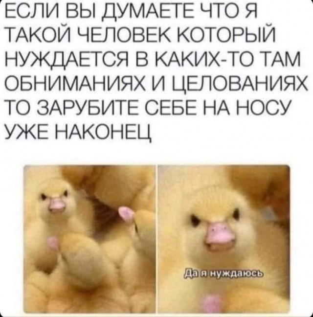 Так себе картинки 08.10.21