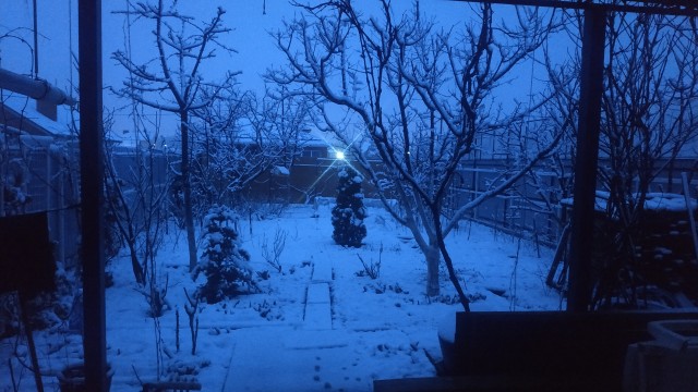 Из окна моего дома