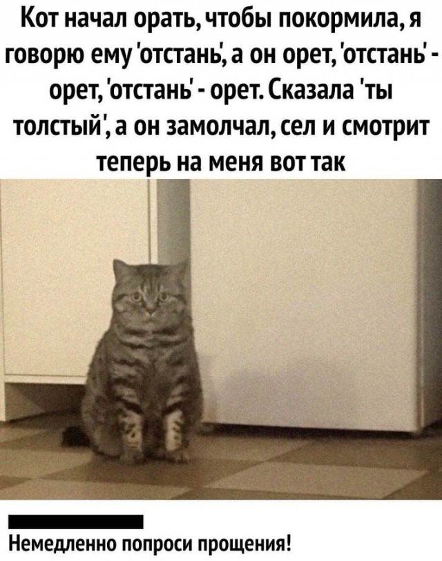 Картинки и мемы