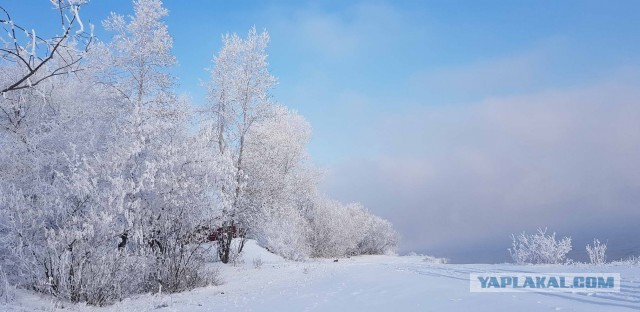 Мое небольшое увлечение. Мобильная фотография