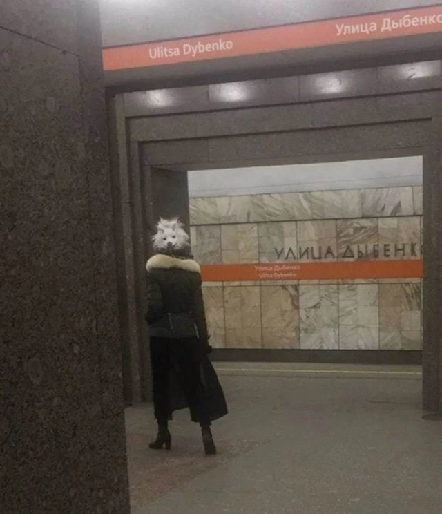 Фото для глазa/cердца/мозга