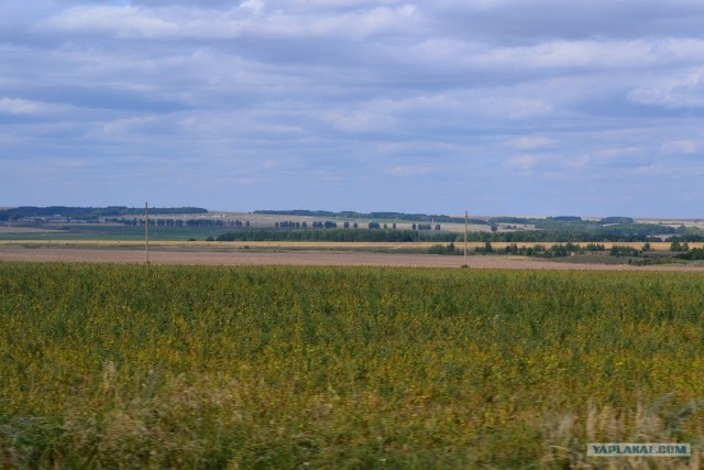 Пермь - Геленджик - Пермь. Фотоотчет