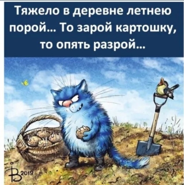 25 пикч для настроения
