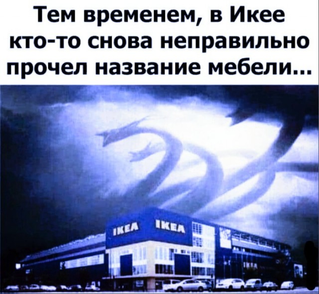 Весёлый полтишок 24.05.22