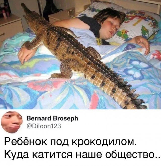 Картинки и мемы для настроения - 19