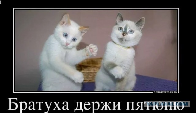Он сделал правильный выбор
