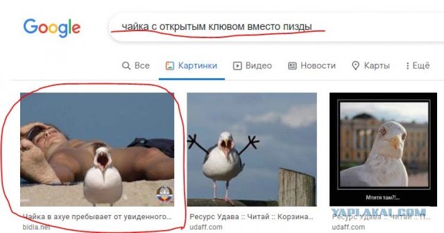 Картинки с перчинкой № 4