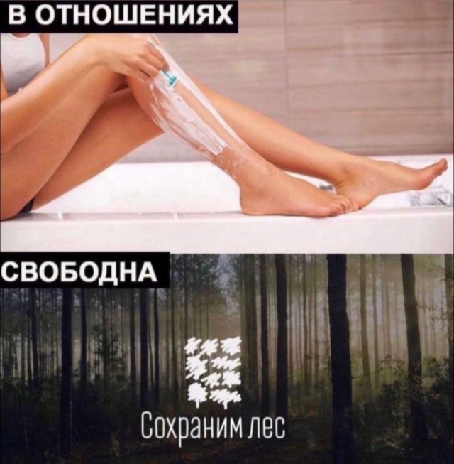 Деградация лайт 14.10.2022