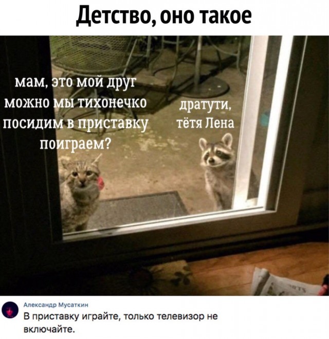 Так себе картинки 21.10.22