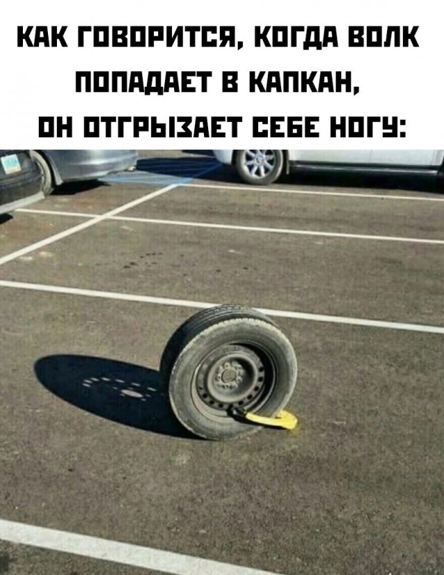 Очередная сборка картинок! Кому баян, кому гармонь, а кому в новинку!