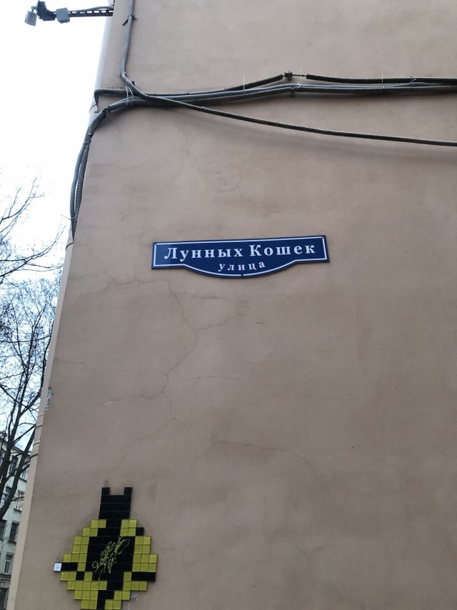 Улица Лунных Кошек