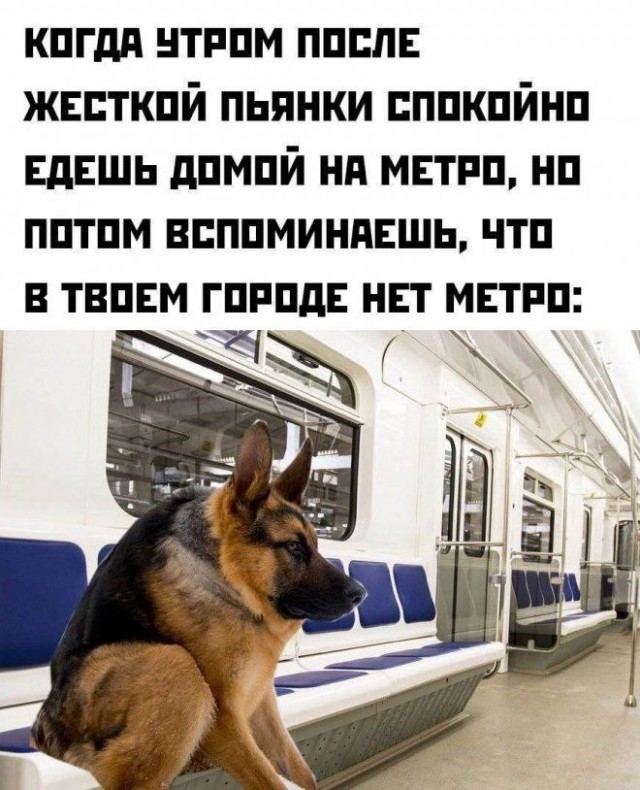Немного картинок для настроения - 153