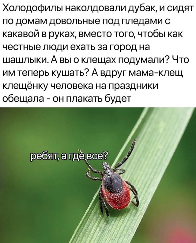 Картинки разнообразные