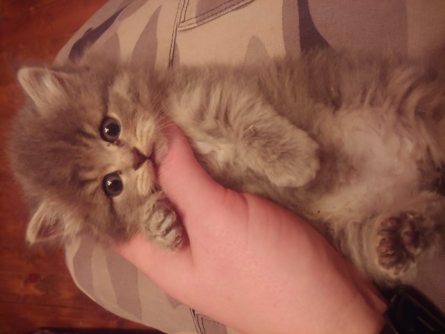 "Уехал на рыбалку, вместо рыб вернулся с этим"