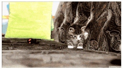 Эй, нога, куда пошла?