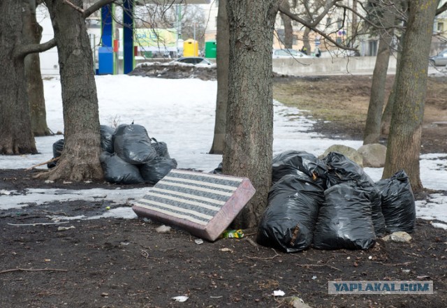Все, что вы хотели знать об Эстонии...