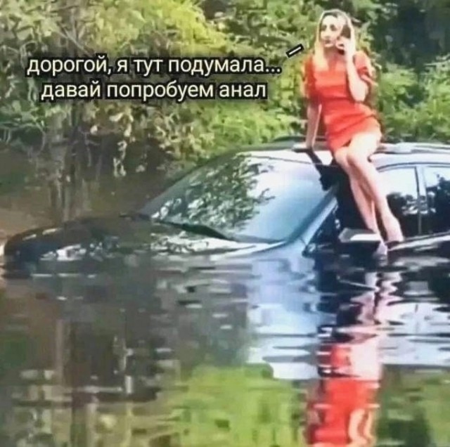 Весёлый полтишок 11.08.23