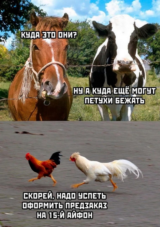 Отряд быстрого деградирования