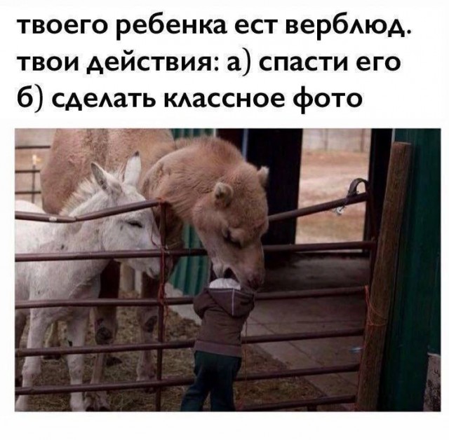 Отряд быстрого деградирования