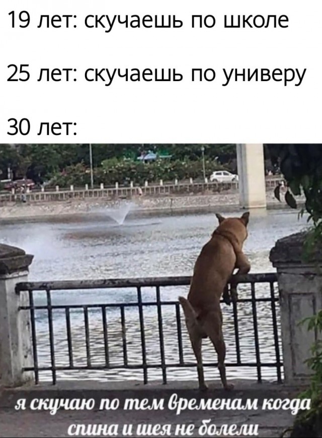 20 картинок