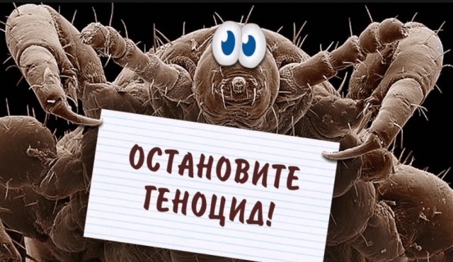 Лобковая вошь: о ней не принято говорить...