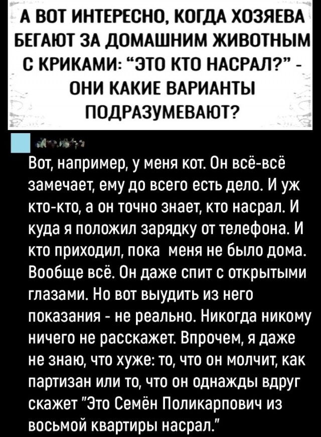 Всего понемногу. От 28.11.23