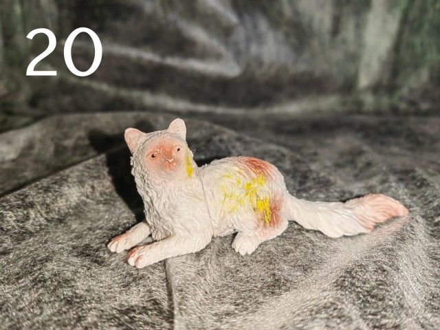 Жизнь домашнего приюта "Котоленд" 419