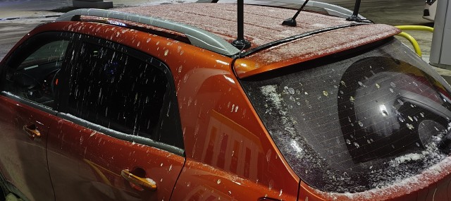 Свиристели, свиристели... пообедать прилетели!