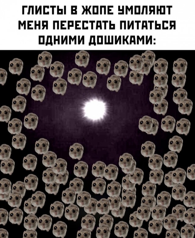 Весёлый полтишок 27.03.24