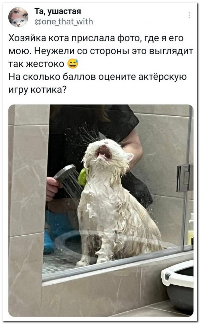 Забавные комментарии из социальных сетей (22.04.24)