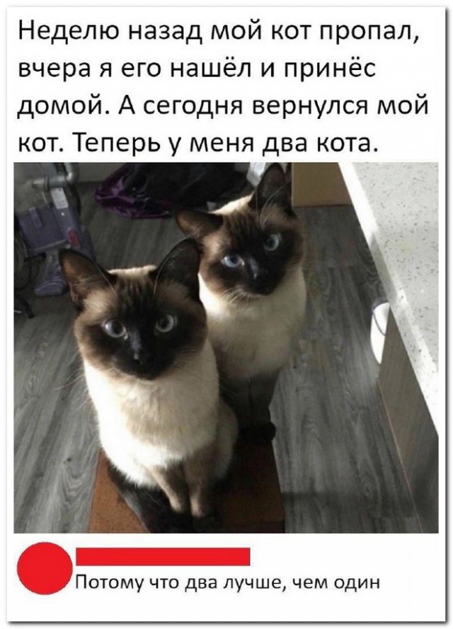 Забавные комментарии из социальных сетей (06.05.24)