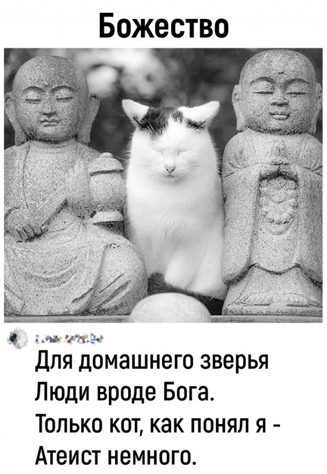 Так себе картинки 19.05.24