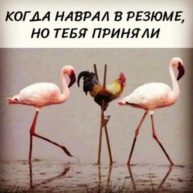 Бля! Вы даже не представляете, насколько это правда