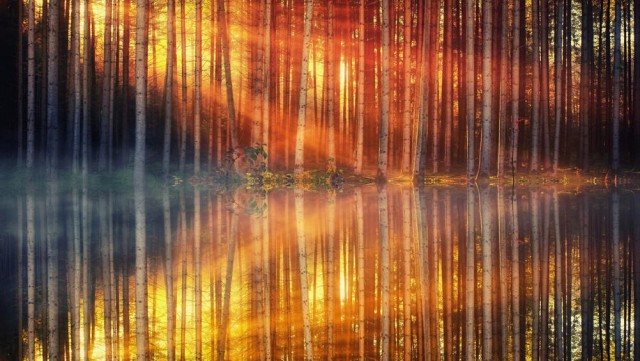 ФотоВинегрет