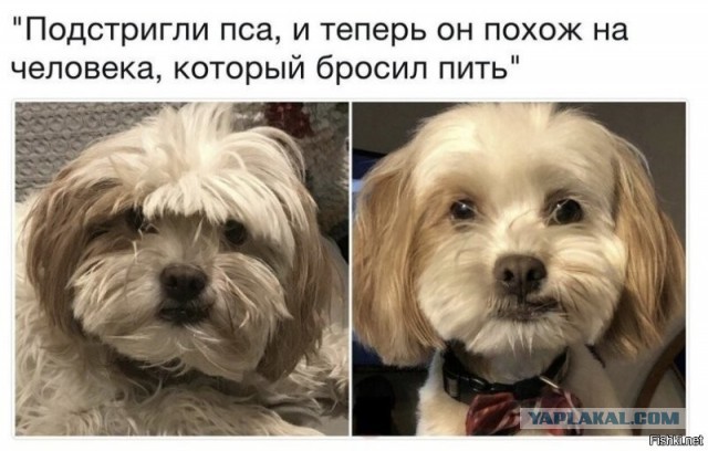 Суббота! Баяны! Красота!