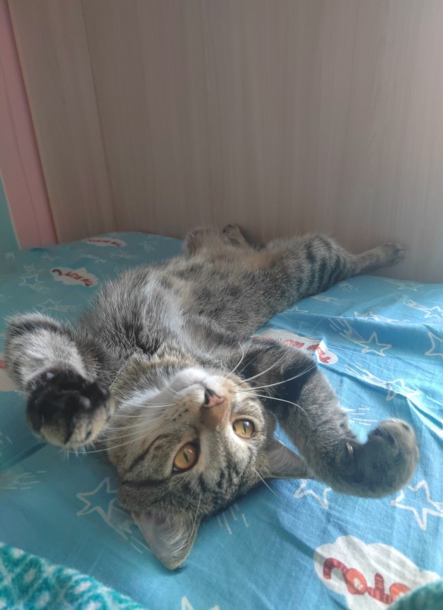 ПрИшлая девочка