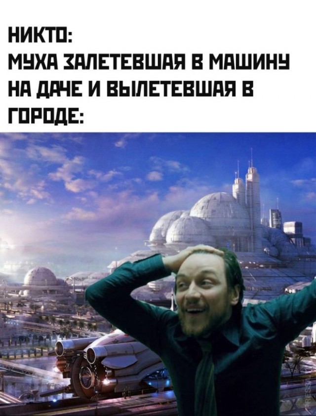 Веселые картинки к маленькой пятнице (31.06)