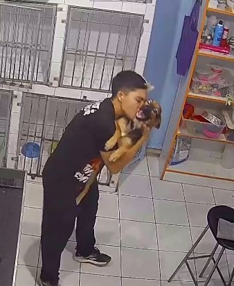 Так выглядит человек, который любит свою работу