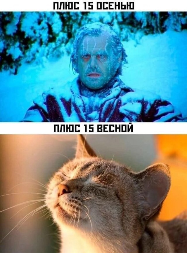 Веселые картинки к пятнице (27.09)