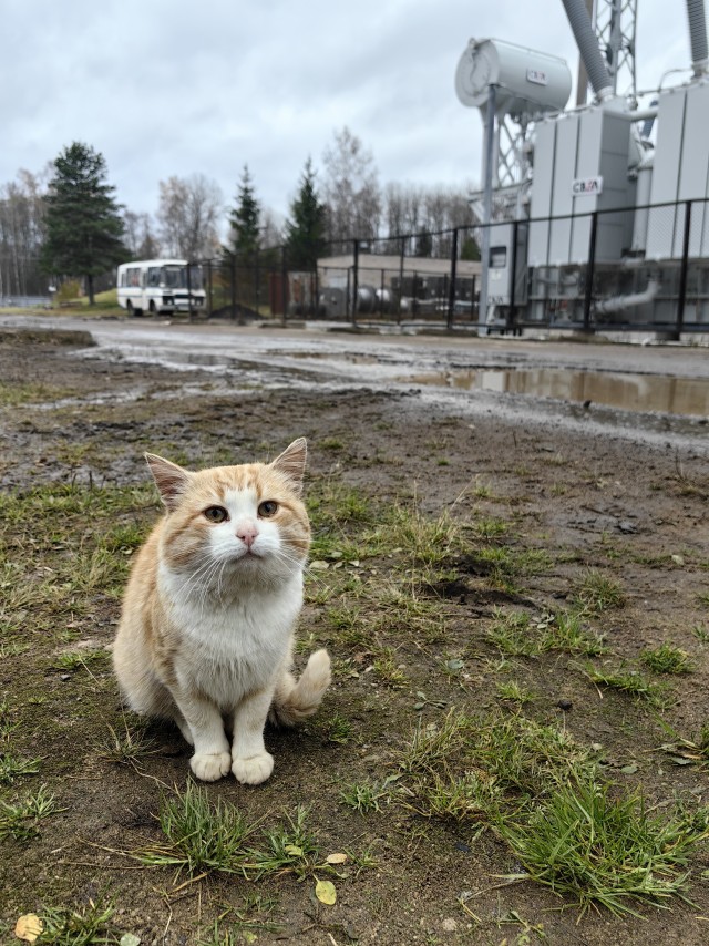 Выбрал себе дом