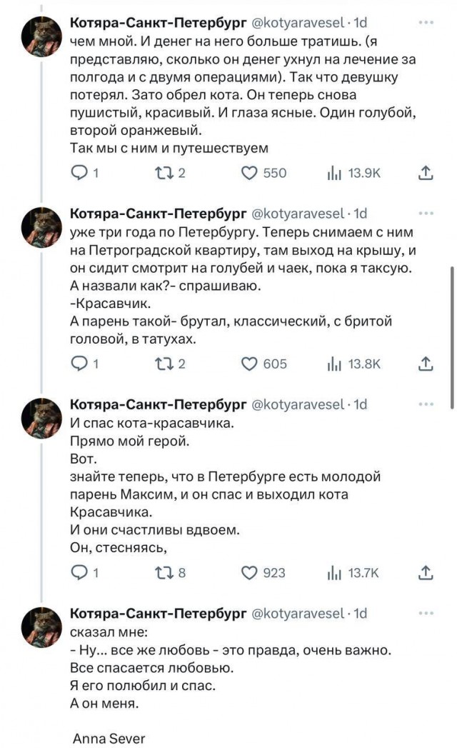 Зато он спас кота