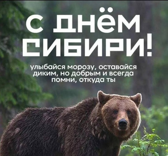 Сибиряк объяснил, почему он злой