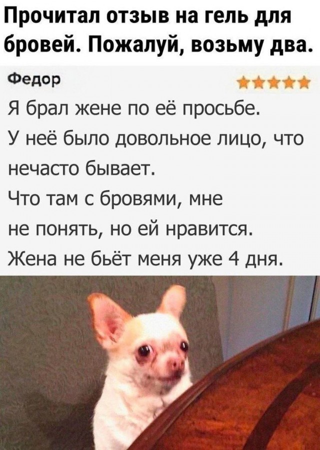 Прикольные и просто красивые картинки 24.12.2024